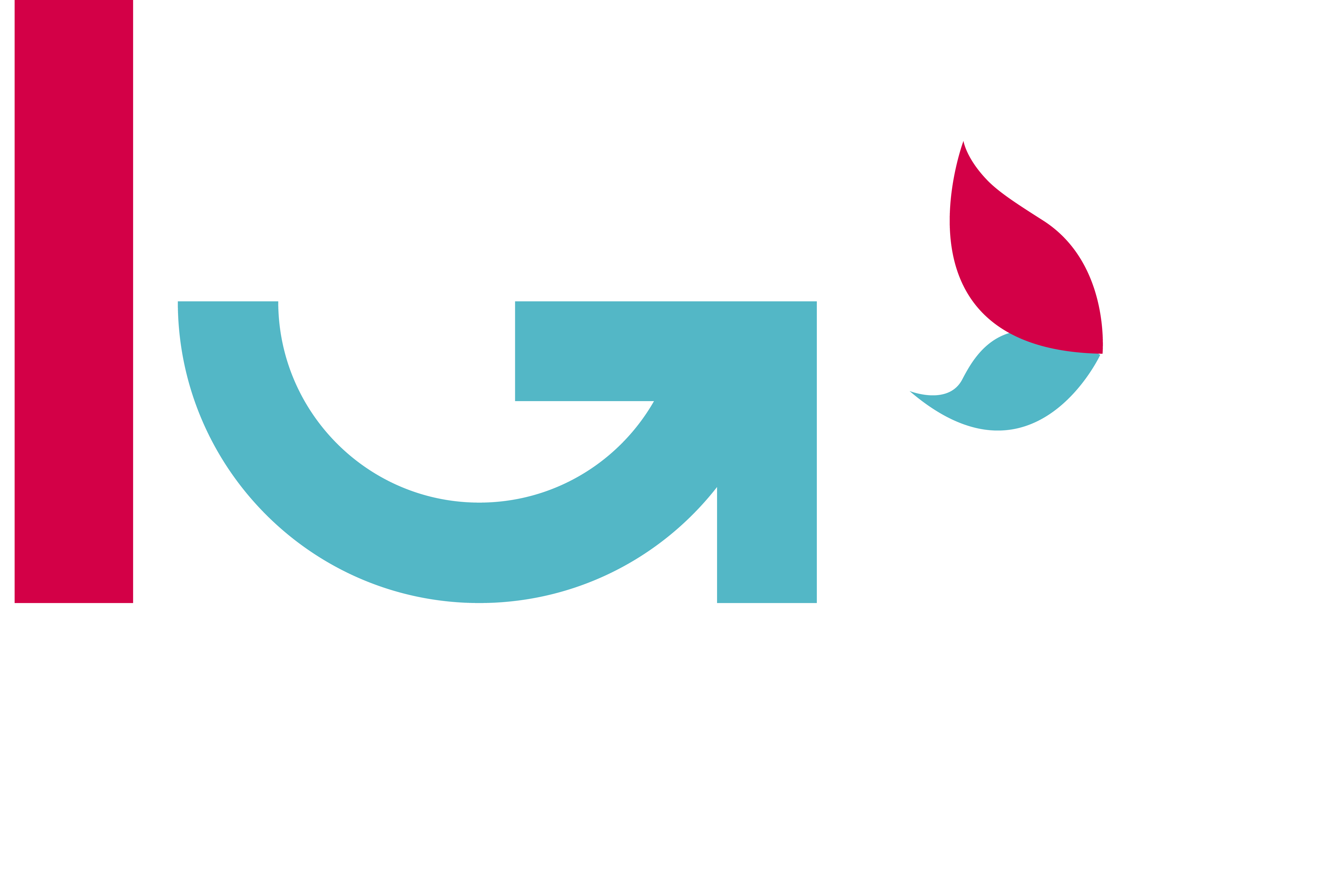 logo Igoguide